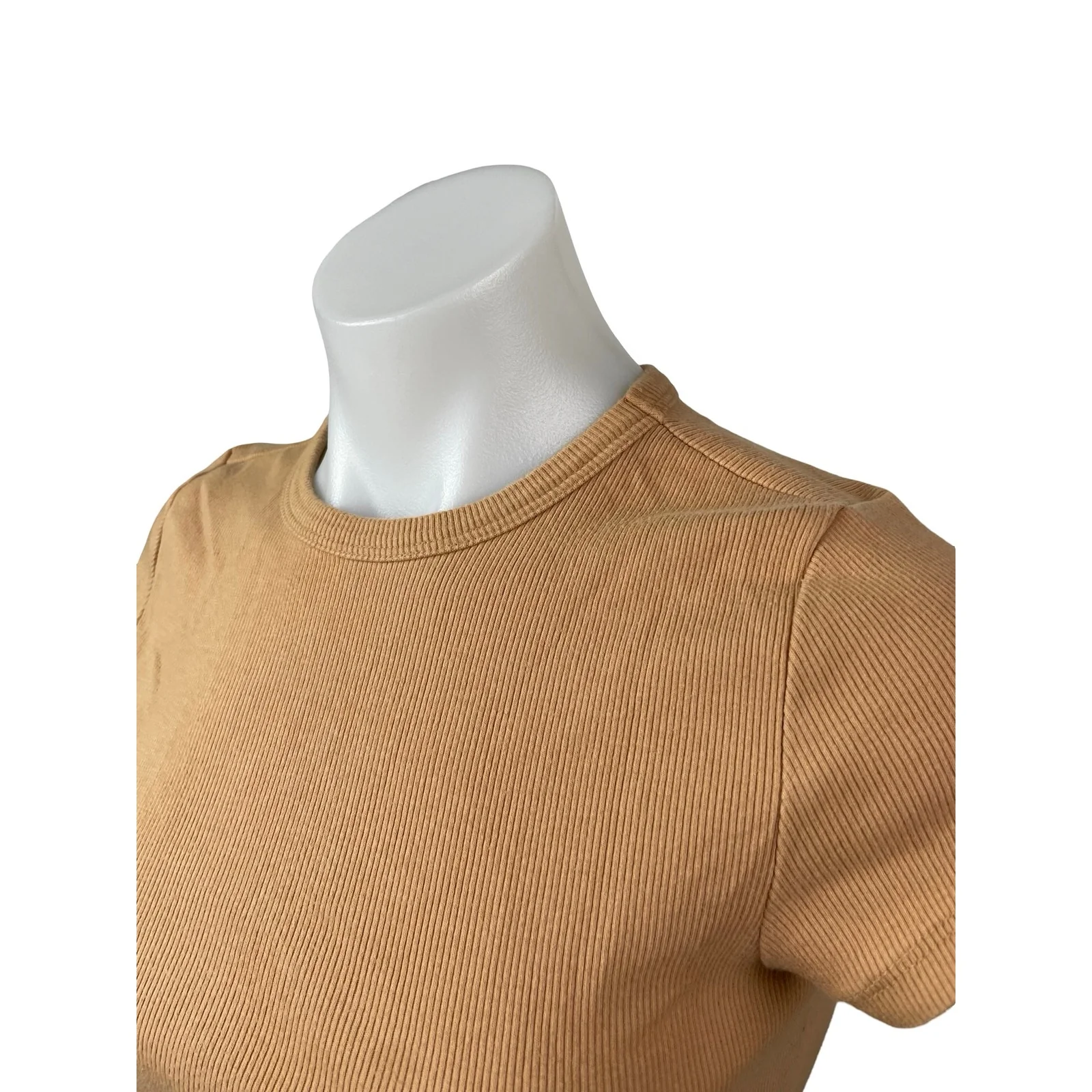 Anthropologie Maeve Tan Ribbed Knit Short Sleeve Baby Tee T Shirt Top Size M - Image 3