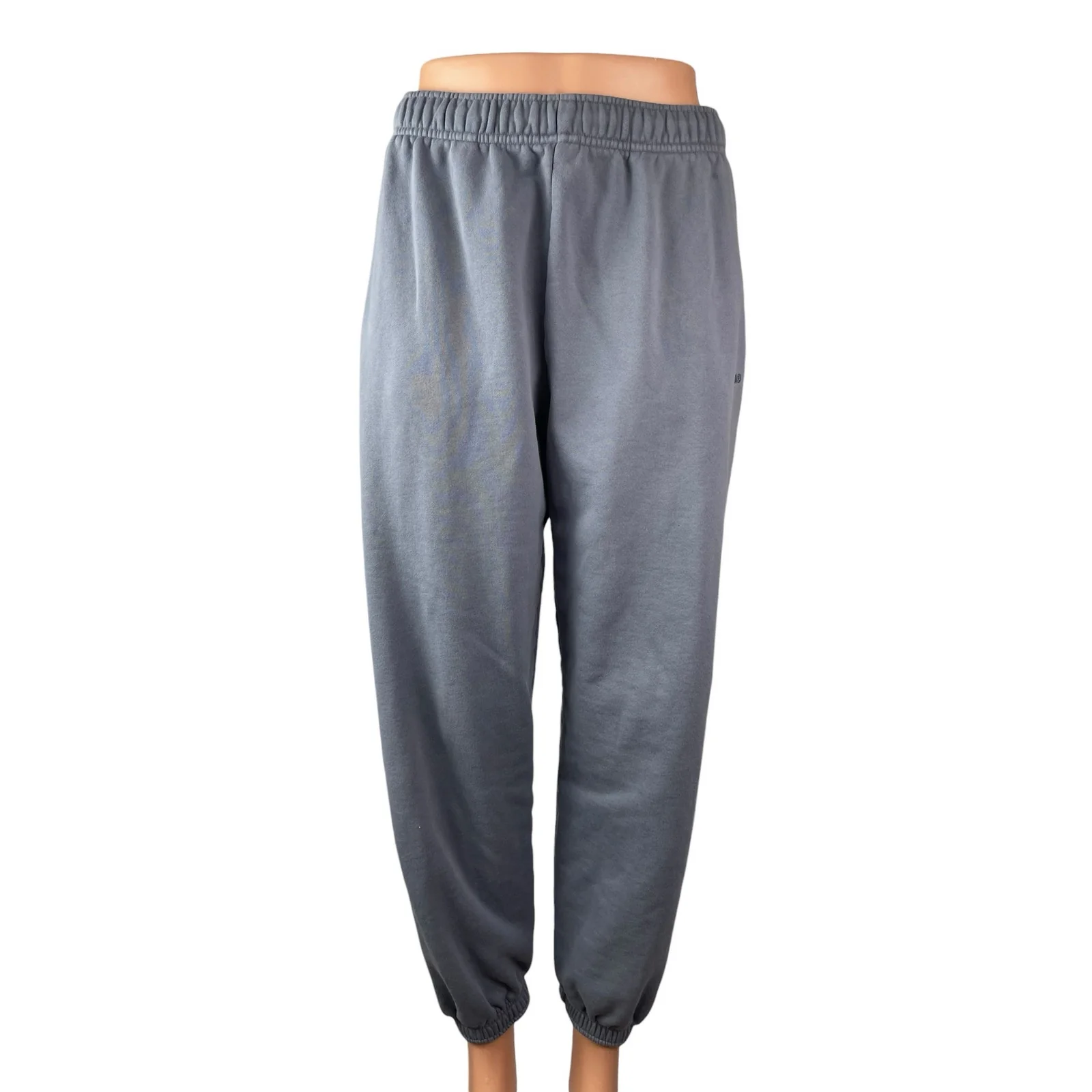 Aritzia TNA Gray Fleece Yoga Athletic Activewear Jogger Trousers Sweat Pants S