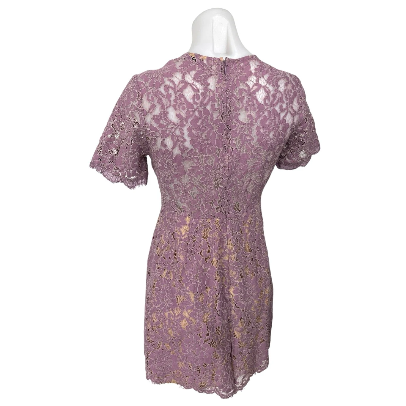 Lush Purple Floral Lace Sheer Short Sleeve Crew Neck Mini Fit & Flare Dress Sz M - Image 2
