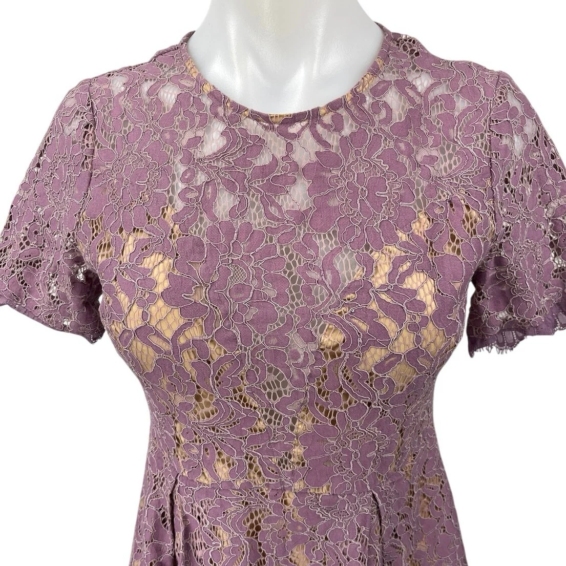 Lush Purple Floral Lace Sheer Short Sleeve Crew Neck Mini Fit & Flare Dress Sz M - Image 3