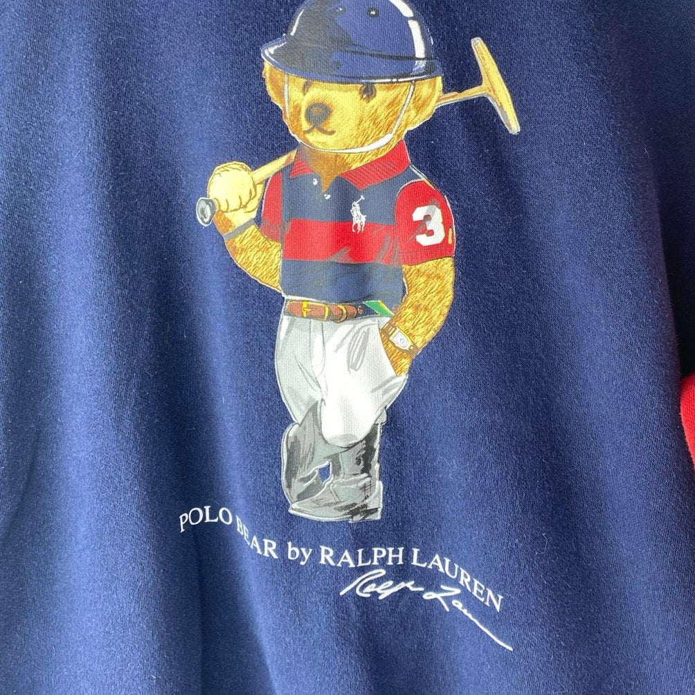 Polo Ralph Lauren Polo Bear Boys Multicolor Colorblock Hoodie Sweatshirt L 14-16 - Image 3