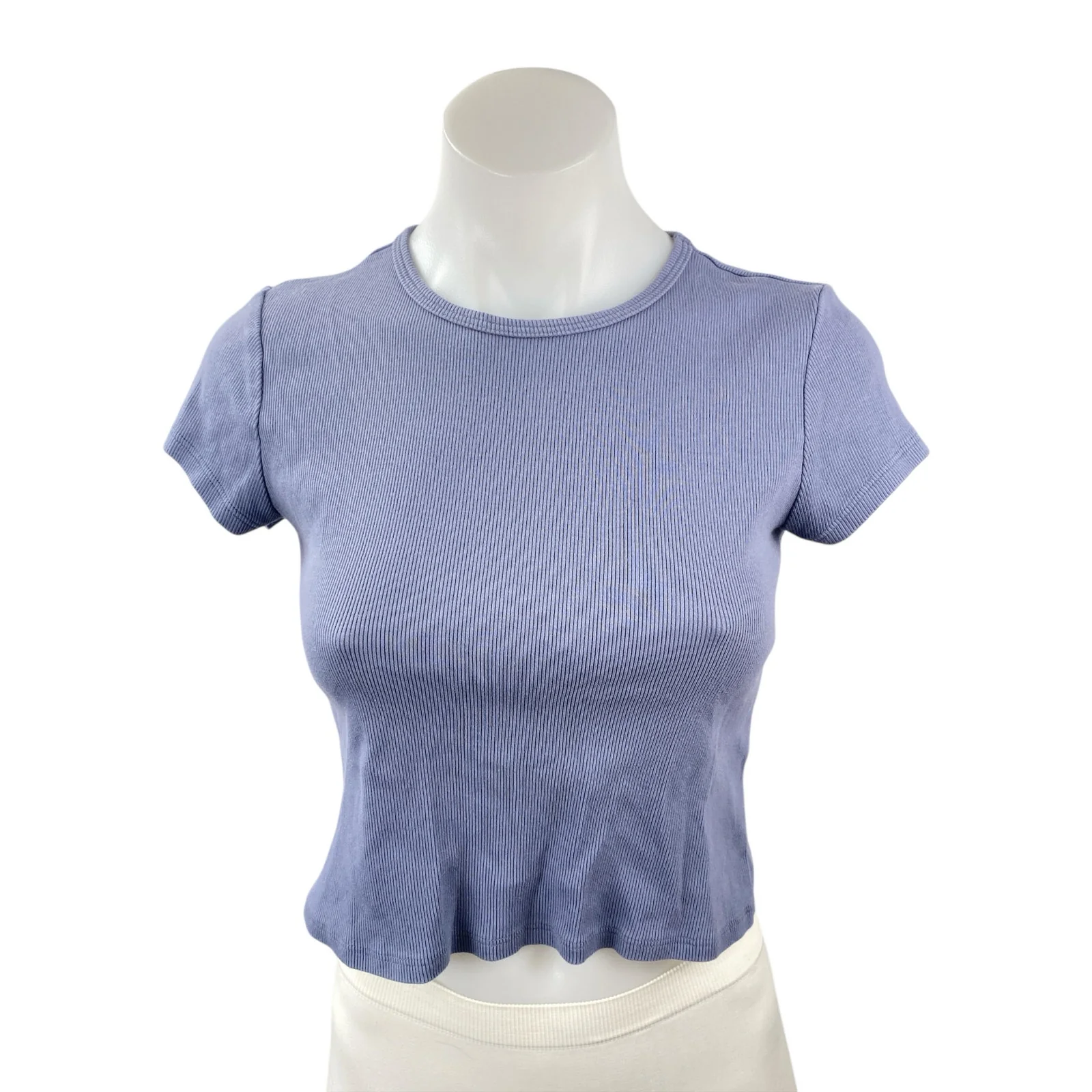 Reformation Purple Blue Ribbed Knit Short Sleeve Crew Neck Crop Baby Tee Top M