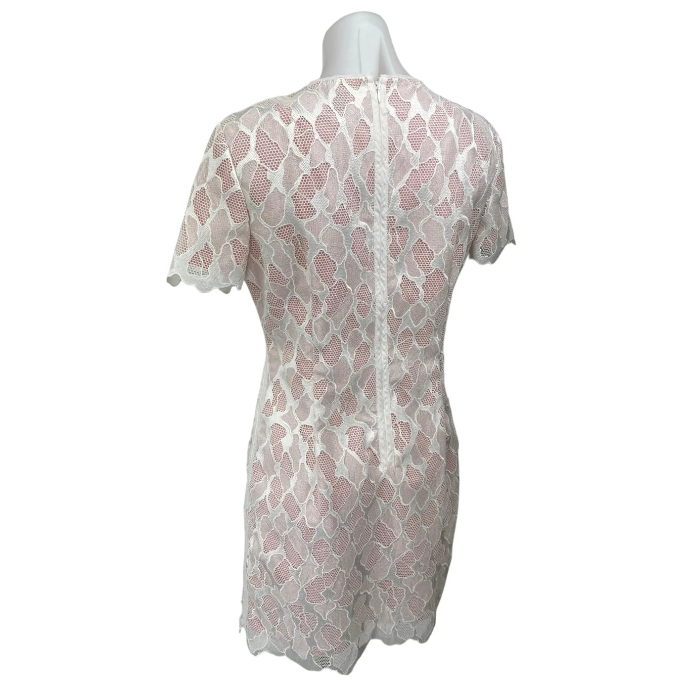 Reiss Anise Pink White Lace Short Sleeve Scalloped Mini Sheath Dress Size 8 - Image 3