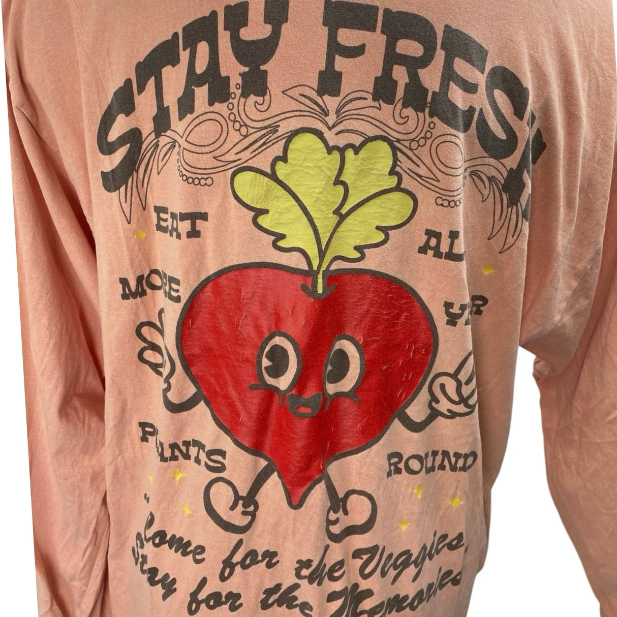 Urban Outfitters Mens Coral Long Sleeve Stay Fresh Veggie T Shirt Tee Top Size L - Image 4