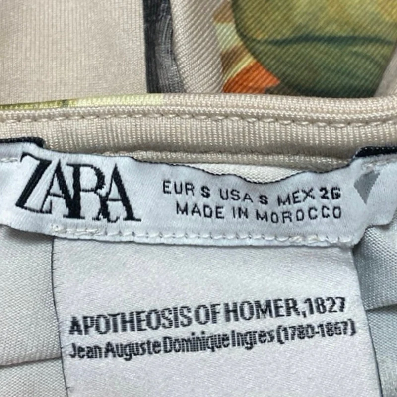 Zara Apotheosis of Homer Beige Long Sleeve Graphic Slim Fit Crop Shirt Top Sz S - Image 8