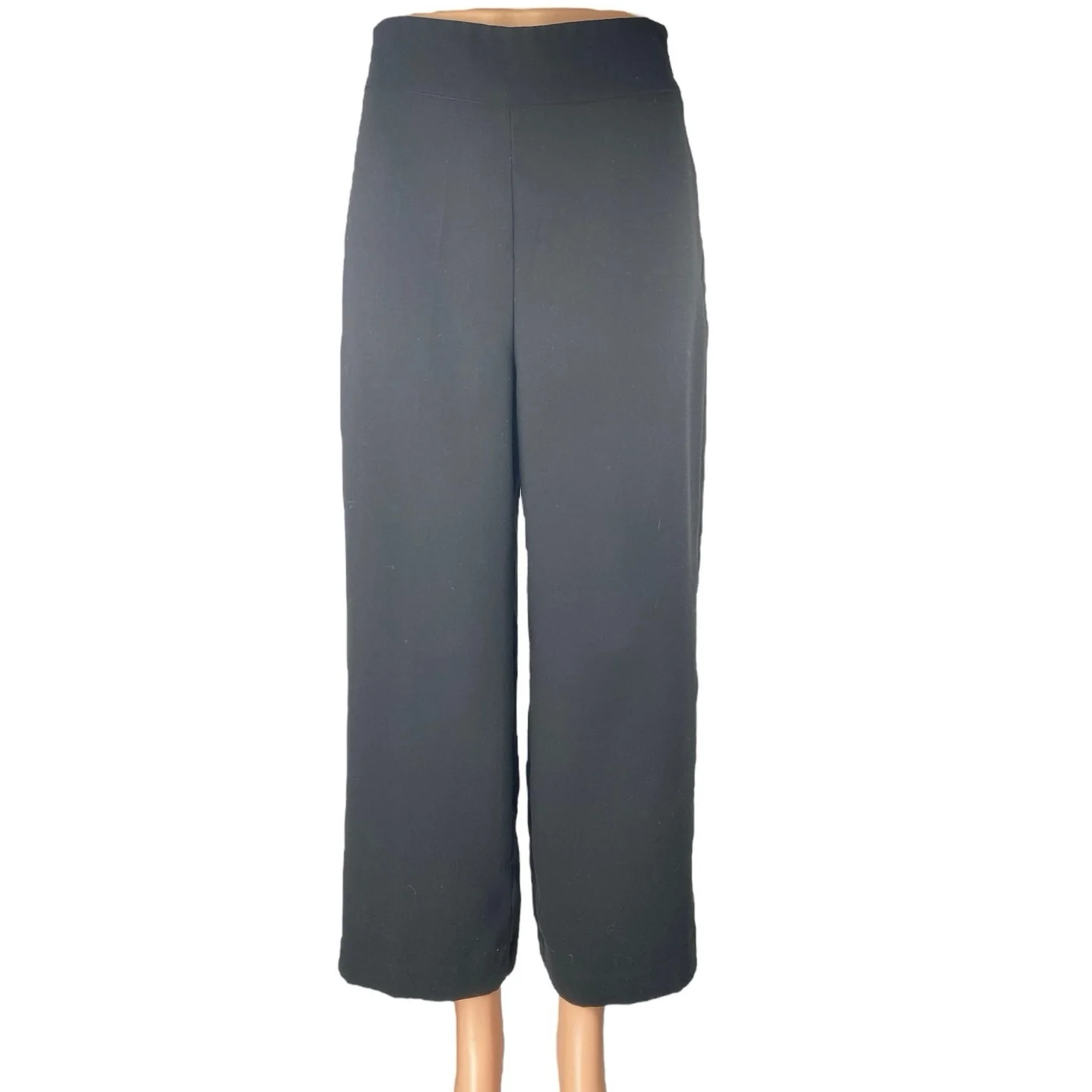 Zara Women's Black High Rise Straight Wide Leg Zipper Trousers Dress Pants Sz S